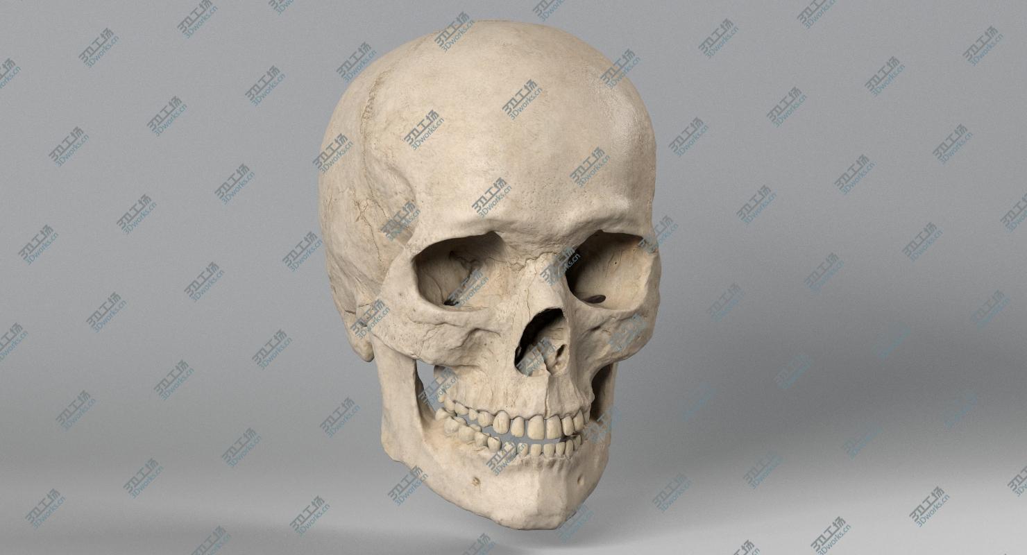 images/goods_img/2021040232/3D model Skull/4.jpg